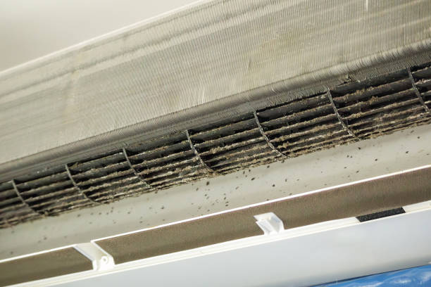 Best Affordable Air Duct Cleaning  in Tropical Park, FL